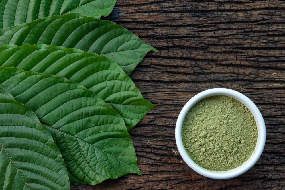 Mitragynina,Speciosa,Or,Kratom,Leaves,With,Powder,Product,In,White